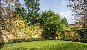 Affitto Appartamento Firenze