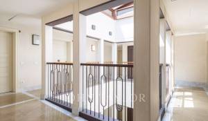 Affitto Appartamento Firenze