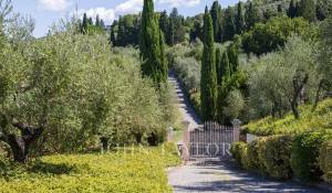 Affitto Appartamento Firenze