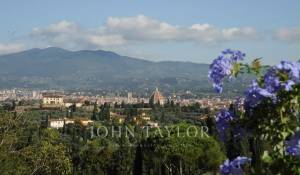 Affitto Appartamento Firenze