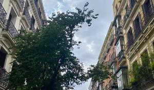 Affitto Appartamento Madrid