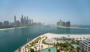 Affitto Appartamento Palm Jumeirah