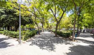 Affitto Appartamento Palma de Mallorca
