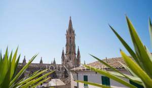 Affitto Appartamento Palma de Mallorca