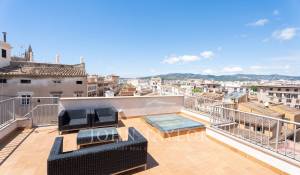 Affitto Appartamento Palma de Mallorca