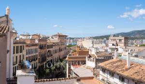 Affitto Appartamento Palma de Mallorca