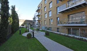 Affitto Appartamento Putney