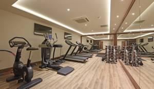 Affitto Appartamento Putney