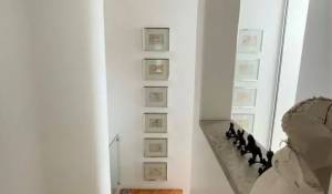 Affitto Casa Limassol