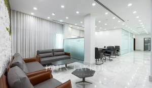 Affitto Cascina Business Bay