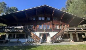 Affitto Chalet Schönried