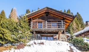 Affitto Chalet Verbier