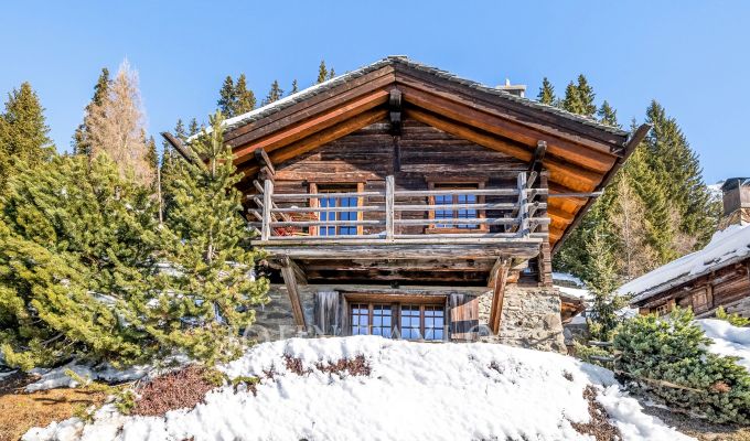 Affitto Chalet Verbier