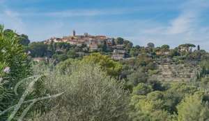 Affitto Locale commerciale Mougins
