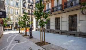 Affitto Locale Madrid