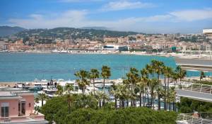 Affitto stagionale Appartamento Cannes