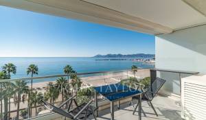 Affitto stagionale Appartamento Cannes