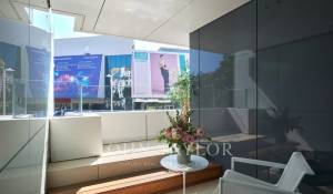 Affitto stagionale Appartamento Cannes