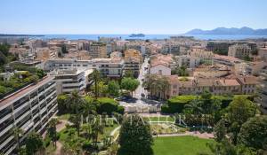 Affitto stagionale Appartamento Cannes