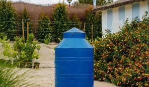 Affitto stagionale Casa Carvalhal