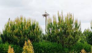 Affitto stagionale Casa Carvalhal