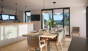Affitto stagionale Casa Mougins