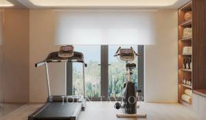 Affitto stagionale Casa Mougins