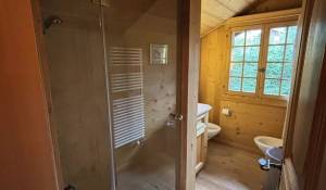 Affitto stagionale Chalet Gstaad