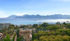 Affitto stagionale Proprietà Cannes