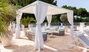 Affitto stagionale Proprietà Cannes