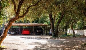 Affitto stagionale Proprietà La Colle-sur-Loup