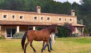 Affitto Villa Esporles