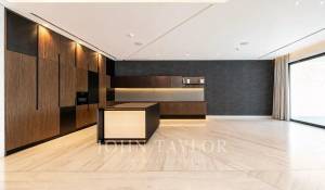 Affitto Attico Business Bay