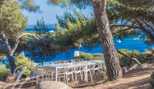 Locale per eventi Proprietà Bonifacio