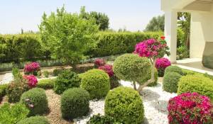 Nuova costruzione Lottizzazione Paphos