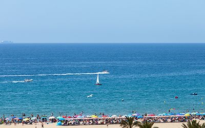 Vendita Barcellona E Dintorni