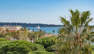 Vendita Appartamento Cannes