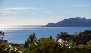 Vendita Appartamento Cannes