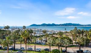 Vendita Appartamento Cannes