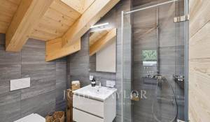 Vendita Appartamento Champéry