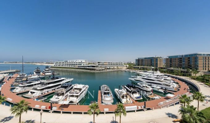 Vendita Appartamento Jumeirah Bay