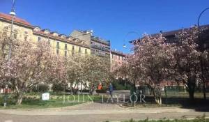 Vendita Appartamento Milano