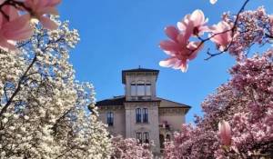 Vendita Appartamento Milano