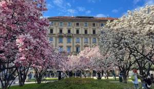 Vendita Appartamento Milano
