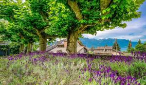 Vendita Appartamento Montreux