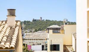 Vendita Appartamento Palma de Mallorca