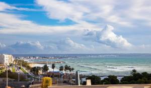 Vendita Appartamento Palma de Mallorca