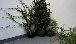 Vendita Appartamento Paris 7ème