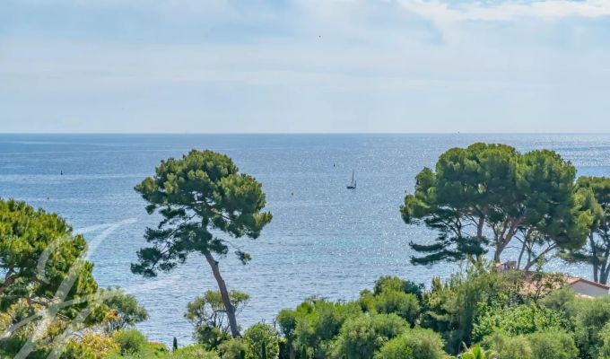 Vendita Appartamento Saint-Jean-Cap-Ferrat