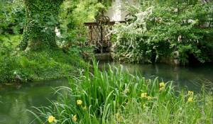 Vendita Bastide L'Isle-sur-la-Sorgue